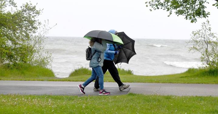 Hamilton weather today