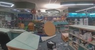 Young vandals cause $50K in damage to Florida school library