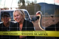 CFIA prepares for cull on B.C. ostrich farm after outbreak of avian influenza