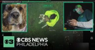 Pennsylvania woman reunited with lost dog after thermal drone pilot searches her neighborhood