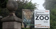 Devon zoos facing growing crisis amid post