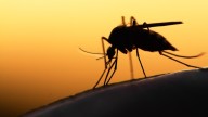Human West Nile virus case confirmed in Trumbull County