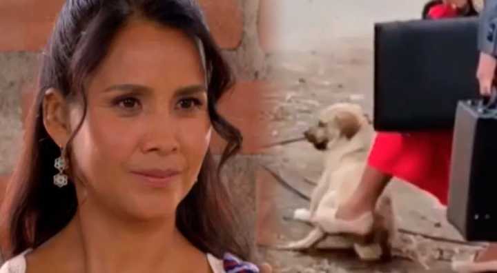 Actriz de Al Fondo Hay Sitio causa INDIGNACIÓN por EMPUJAR a un perrito callejero con el pie