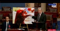 Chestburster alien transformation possible from radioactive shrimp, says Sen John Kennedy