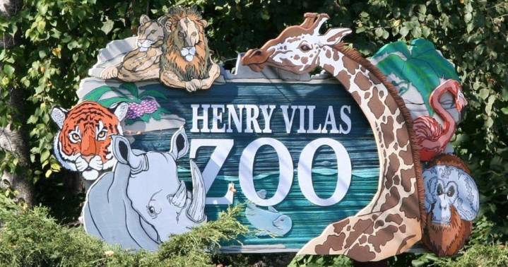 Run Wild at Henry Vilas Zoo raises funds for global conservation efforts