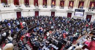 Sesión clave en el Senado: el veto de Javier Milei a la Ley de Discapacidad y una reforma sobre los DNU, la agenda del día