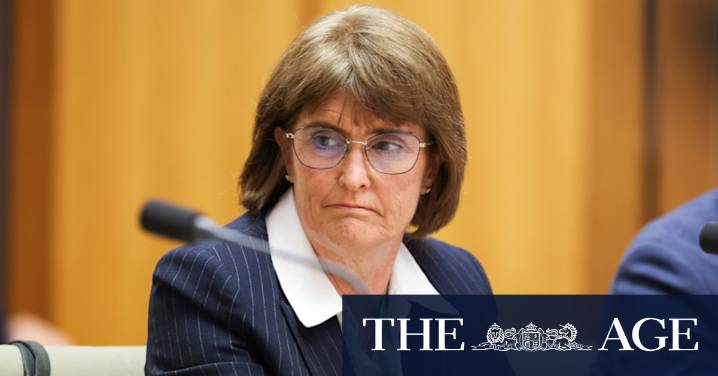 Credit card surcharges: RBA governor Michele Bullock ridicules banks and credit card providers over fee reform plans