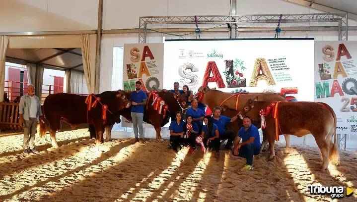 Los mejores ejemplares de bovino deslumbran en el cierre de Salamaq