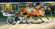 Spicy Hops upsets in Batavia feature trot