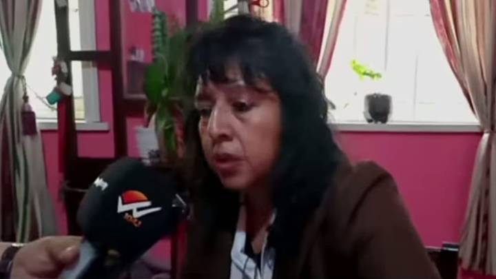 La plaga de moscas paraliza a la escuela y los comercios