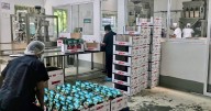 Cielo Abierto, el café veracruzano que compite contra grandes marcas y que surte a Oxxo, Soriana y Amazon