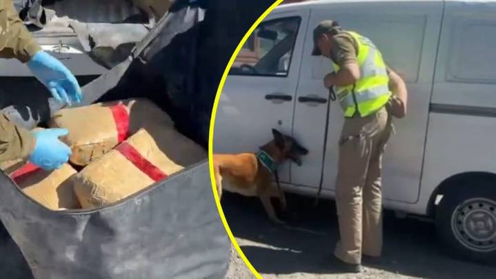 Carabineros detiene a tres sujetos con casi 270 kilos de marihuana: Habían repartido la droga en 173 paquetes
