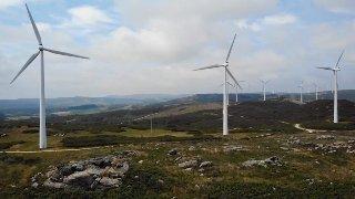 Retomarán inversiones verdes; reactivarán proyectos por 500 millones de pesos
