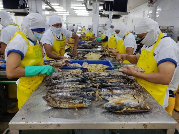 Desde 2026, Estados Unidos restringirá pesca de 46 países, pero para Ecuador no habrá ‘mayor incidencia’