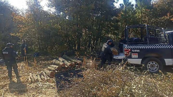 Guardia forestal vigilará la supervivencia de 1.7 millones de árboles plantados en Puebla