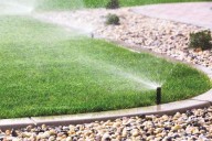 A guide to fall lawn care for cool