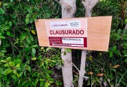 Gobierno federal busca disminuir más del 50% de delitos ambientales