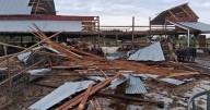 Straight-line winds up to 80 mph collapse barn, kill livestock, and damage property in Gunter