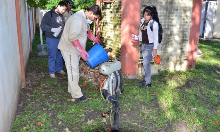 Dengue: la semana cierra con un leve aumento de casos
