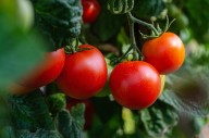 Ulster County event guide for 9/18