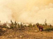 Study links Canada’s 2023 wildfire season to 82,000 deaths worldwide