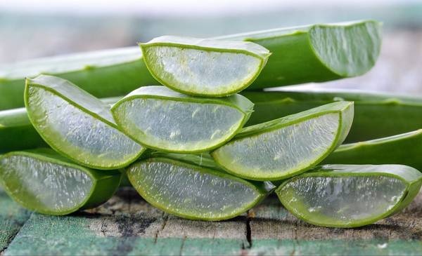 No solo es bueno para la piel: el poder de comer aloe vera cruda