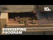 New beekeeping pilot program is all the buzz at correctional facility