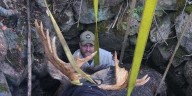 Maine wardens rescue moose trapped for hours in abandoned well