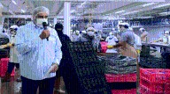 Más 90 mil pollos por día es la producción avícola en el estado Miranda