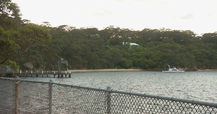 Sydney: Man believed to be in his 60s found