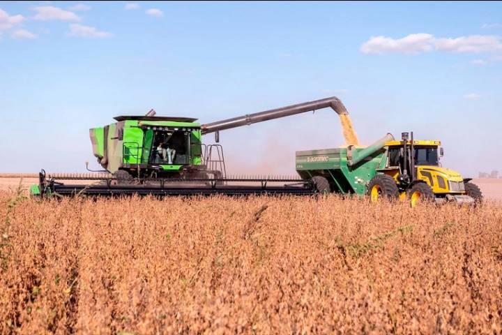 La liquidación de dólares del campo tuvo una fuerte baja en agosto
