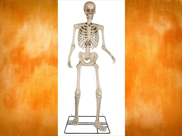 10-Foot Skeletons are back at Lowe's and are on sale for a limited time