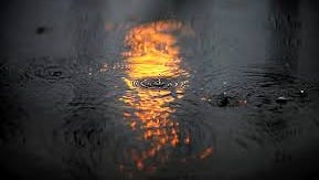 Rain, finally! And there's more on the way this week in the Tri