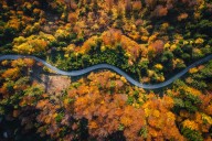 Pennsylvania's fall 2025 forecast