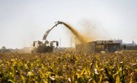 El Gobierno elimina las retenciones hasta octubre para conseguir dólares