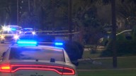 One dead after shooting at Eleanor Drive, Linden Street