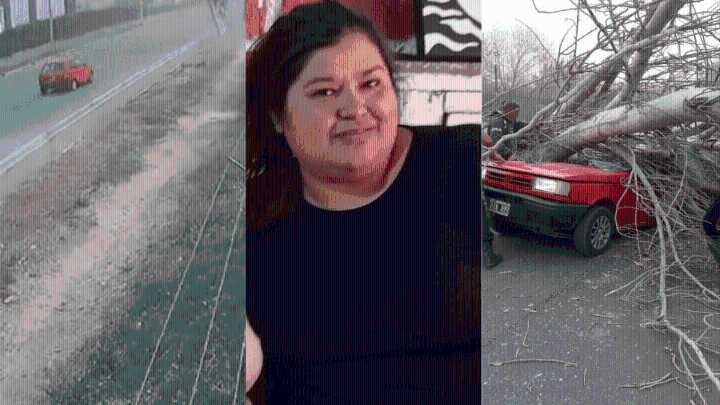 “Los que iban detrás podrían haber ayudado”: la dolorosa despedida de la mujer que murió aplastada por un árbol