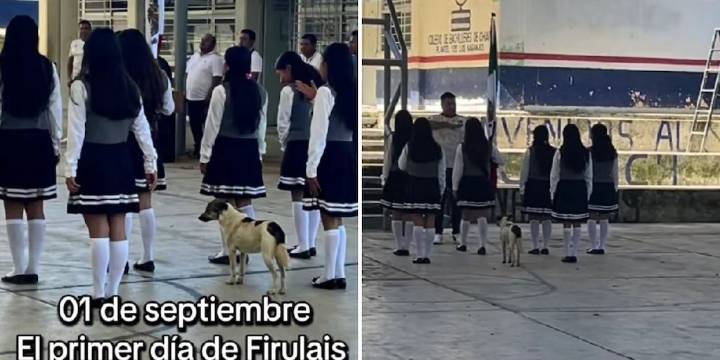 Perrito se vuelve viral al unirse a escolta en Preparatoria de Chiapas durante Toque de Bandera