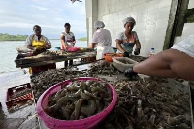 Mujeres del Pacífico colombiano mejoran su vida y el ambiente con una iniciativa pesquera