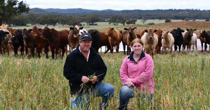 Dave Worsnop's Dorper, cattle grazing operation at Yarambie grows