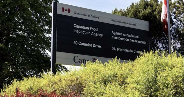 Sauce sold in Ontario recalled