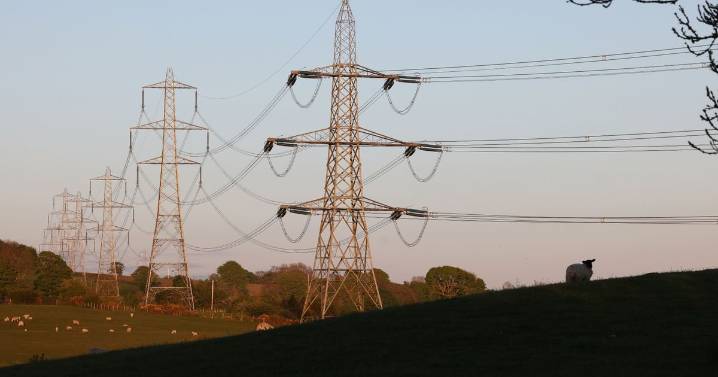National Grid defends pylon plans, saying alternatives would be four times more expensive