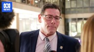 Townsville Mayor Troy Thompson found to have breached code of conduct