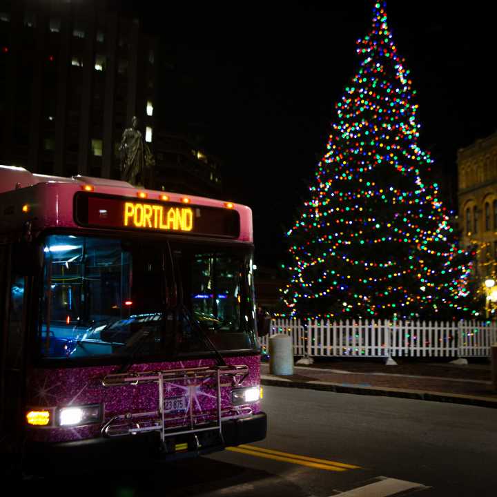Portland is looking for the perfect holiday tree for Monument Square