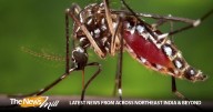 Pakistan reports 41 new cases of Dengue in Rawalpindi Hospitals
