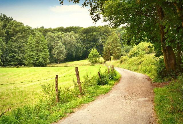 Delta National Forest backroads named Mississippi’s top gravel drive in roadtrip survey