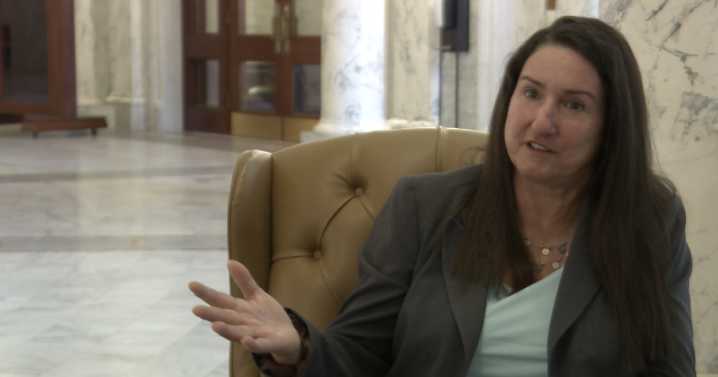Idaho House Minority Leader faces calls to step down over Israel visit