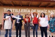 En CdMx, inauguran primera tortillería de maíz nativo de la Red Centli; ¿cuánto cuesta el kilo...