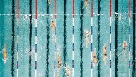 Neuroscience: Go swimming and your brain will thank you