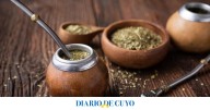 Cómo reciclar la yerba mate